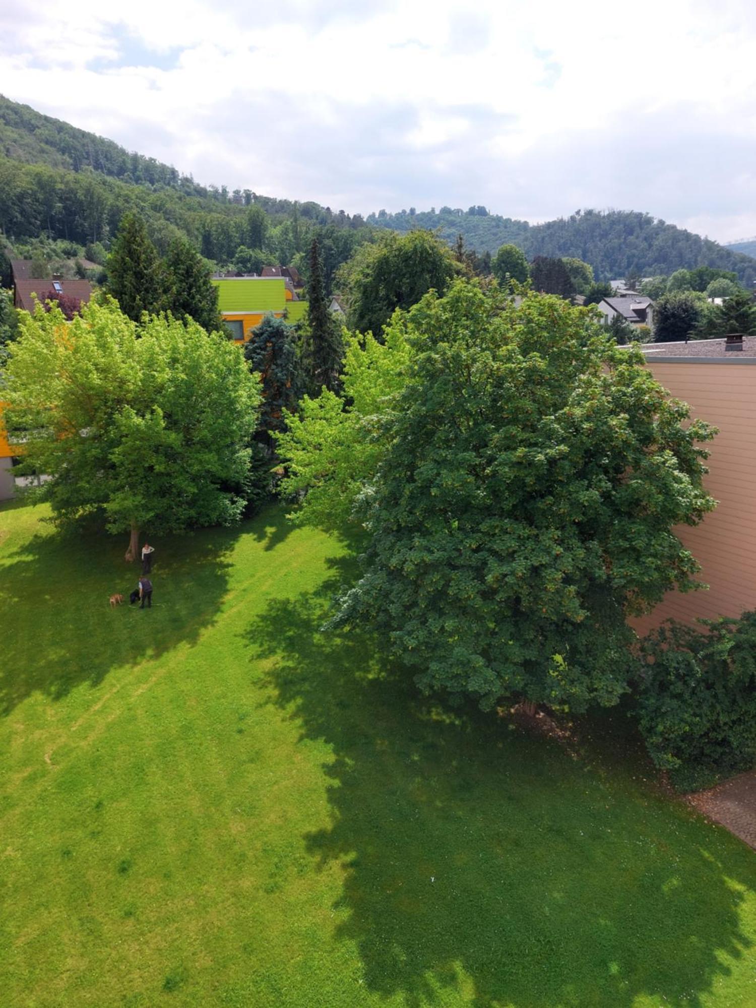 Burgberg-Blick Apartamento Bad Harzburg Exterior foto